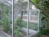 school_garden11_mini.jpg