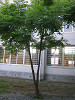 school_garden13_mini.jpg